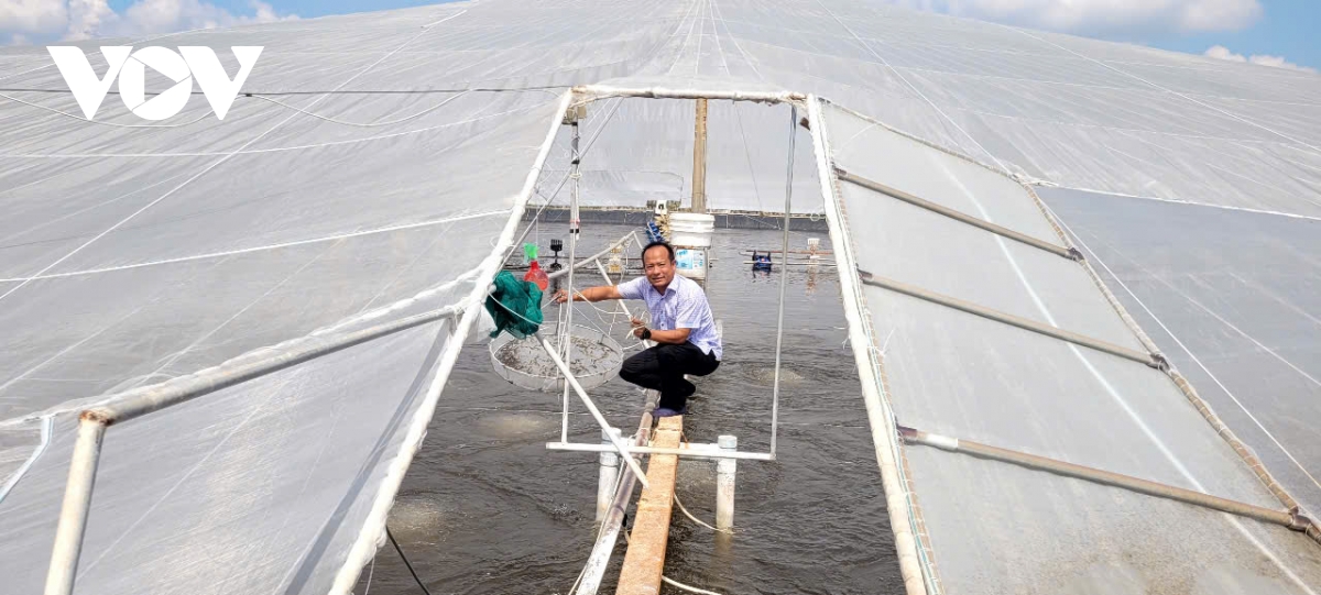 Tỷ phú nuôi tôm ở vùng sông nước Cửu Long